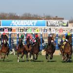 ABR Sunday Selections: Full-Card Picks for Nov. 9 at Aqueduct